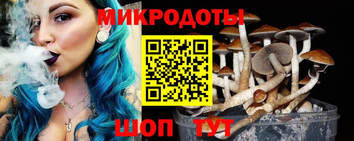 закладка  Галлюциногенные грибы ЛСД  Вход с VPN  Россошь 